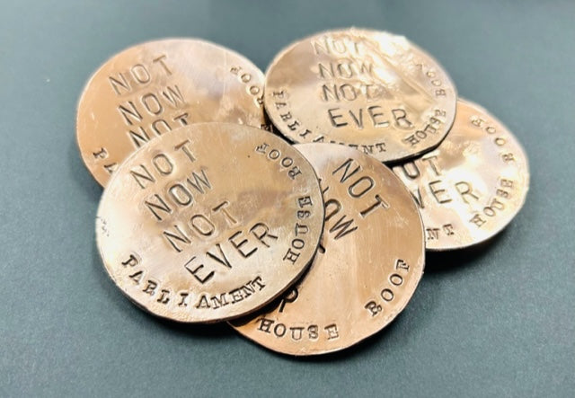 Not Now Not Ever brooch